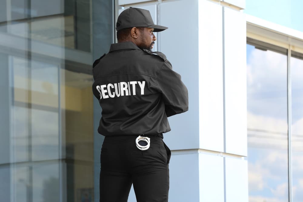 Professional Security Services